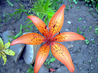 Similar image 21848272