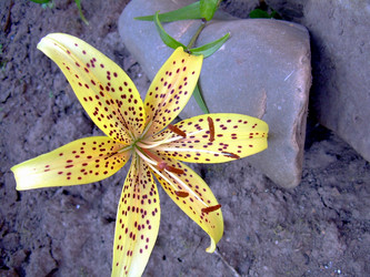 Similar image 21848273