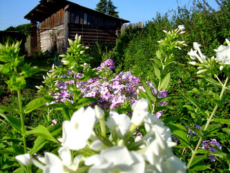 Similar image 21848279