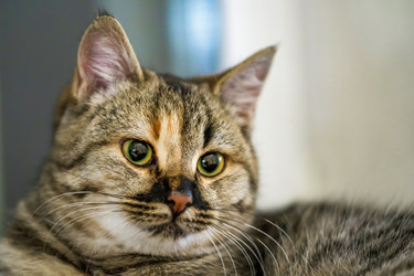 Similar image 21849177