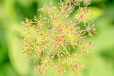 Similar image 21849180