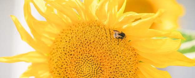 Similar image 21849182