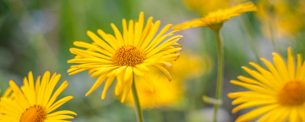 Similar image 21849184