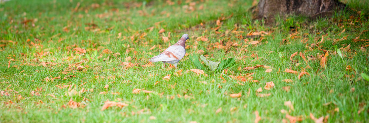 Similar image 21849185