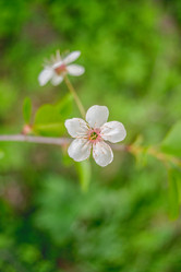 Similar image 21849186