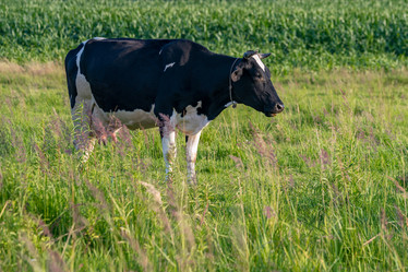 Similar image 21849191