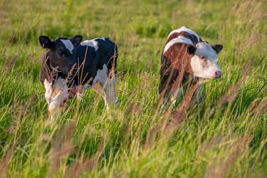 Similar image 21849192