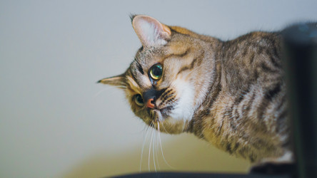 Similar image 21849200