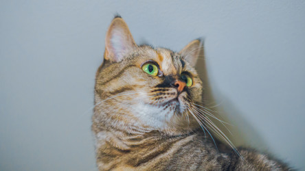 Similar image 21849201