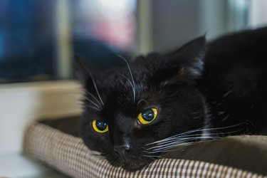 Similar image 21849204