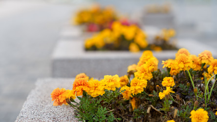 Similar image 21849206