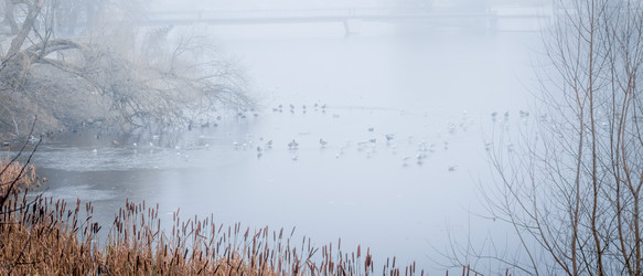 Similar image 21849207