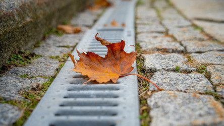 Similar image 21849209