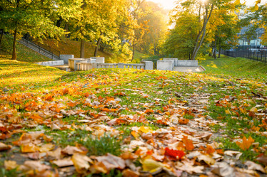 Similar image 21849210