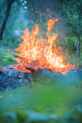 Similar image 21849215