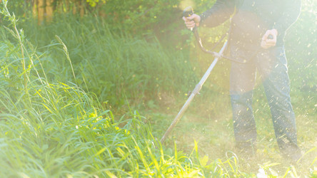 Similar image 21849218