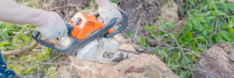 Similar image 21849219