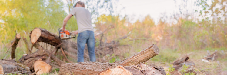 Similar image 21849220