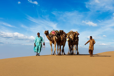 Similar image 21848500