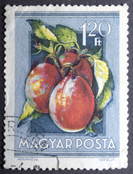 Similar image 21849223