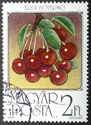 Similar image 21848282