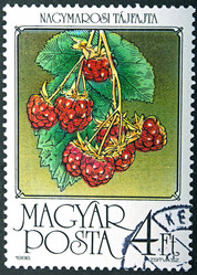 Similar image 21849224