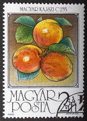 Similar image 21848506