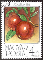 Similar image 21849225