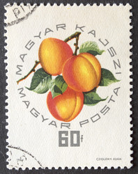 Similar image 21848283