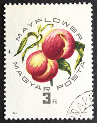 Similar image 21849229