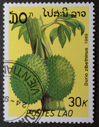 Similar image 21848287