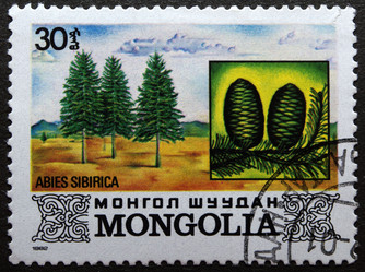 Similar image 21849233