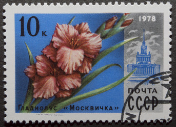 Similar image 21848289