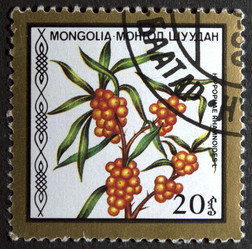 Similar image 21849234