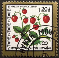 Similar image 21849235