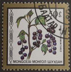 Similar image 21848290