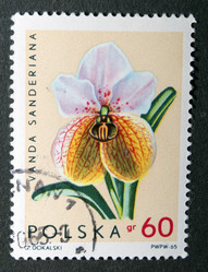 Similar image 21849236