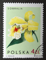 Similar image 21848294