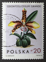 Similar image 21849237