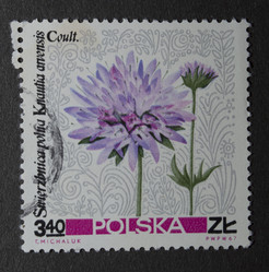 Similar image 21848296