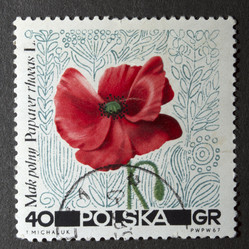 Similar image 21849239