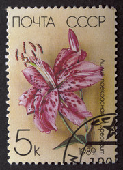 Similar image 21849244