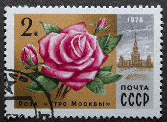 Similar image 21848300