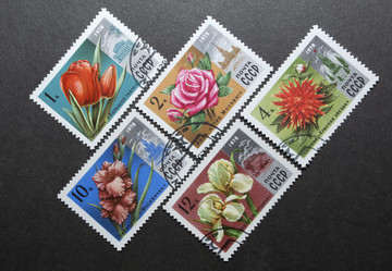 Similar image 21848302