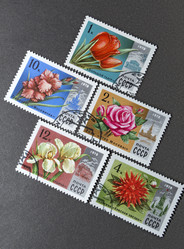 Similar image 21848303