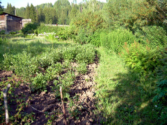 Similar image 21848304