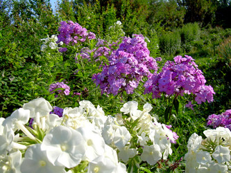 Similar image 21848306