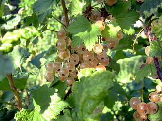 Similar image 21848307