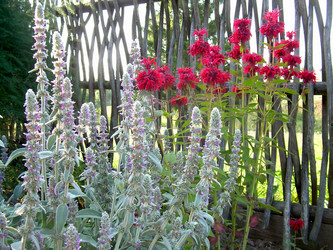 Similar image 21848308