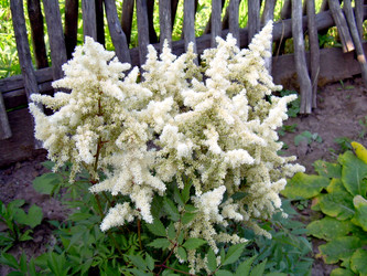 Similar image 21848309